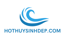 Thi Công lắp đặt Hồ Thủy Sinh, Phụ kiện thủy sinh uy tín Tp.HCM