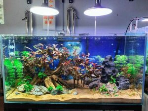 Setup Sẵn